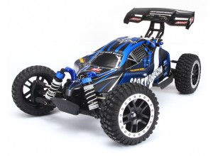 PRO RC Buggy 4x4 Standard Edition 1:8